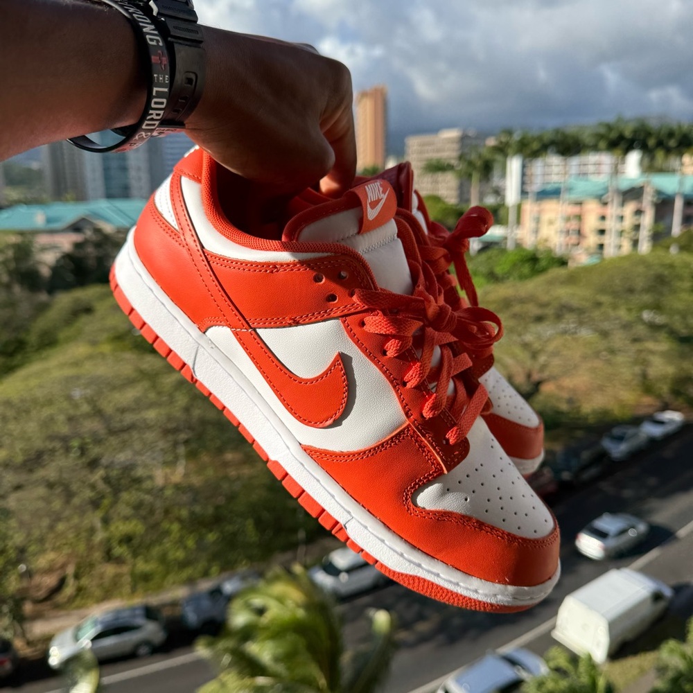 Nike Dunk Low Retro